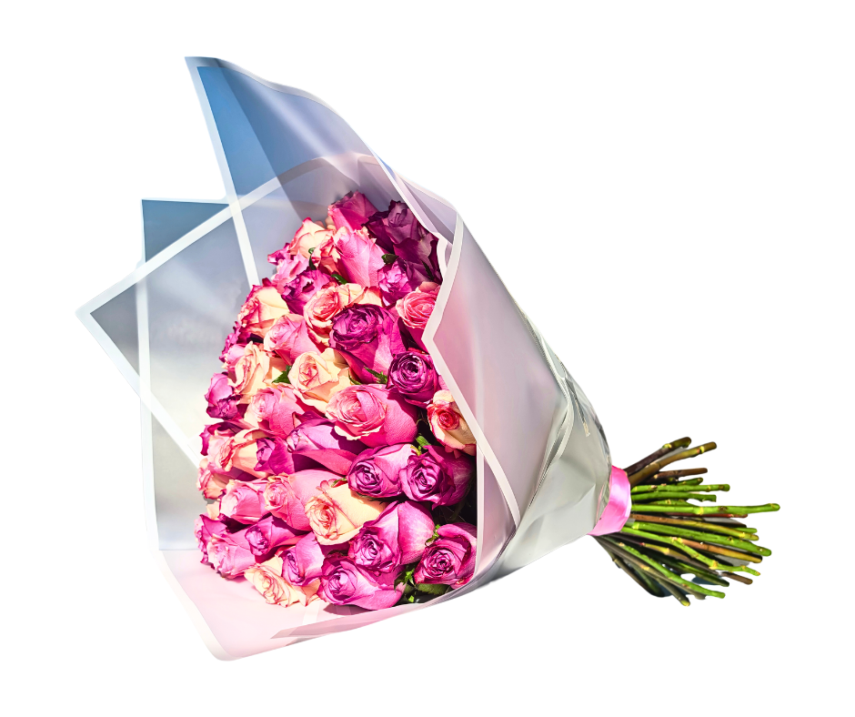 Blush of Romance - 50 Stem Pink Roses - Jihaans Flower Emporium
