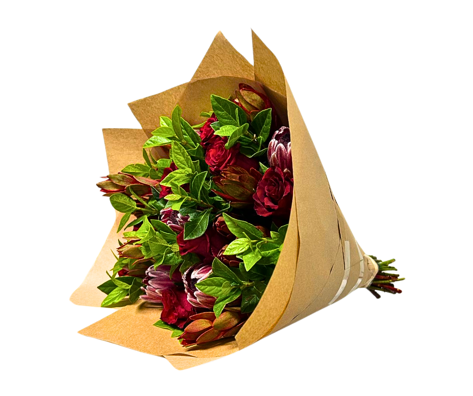 Deeply Daring Protea Bunch - Jihaans Flower Emporium