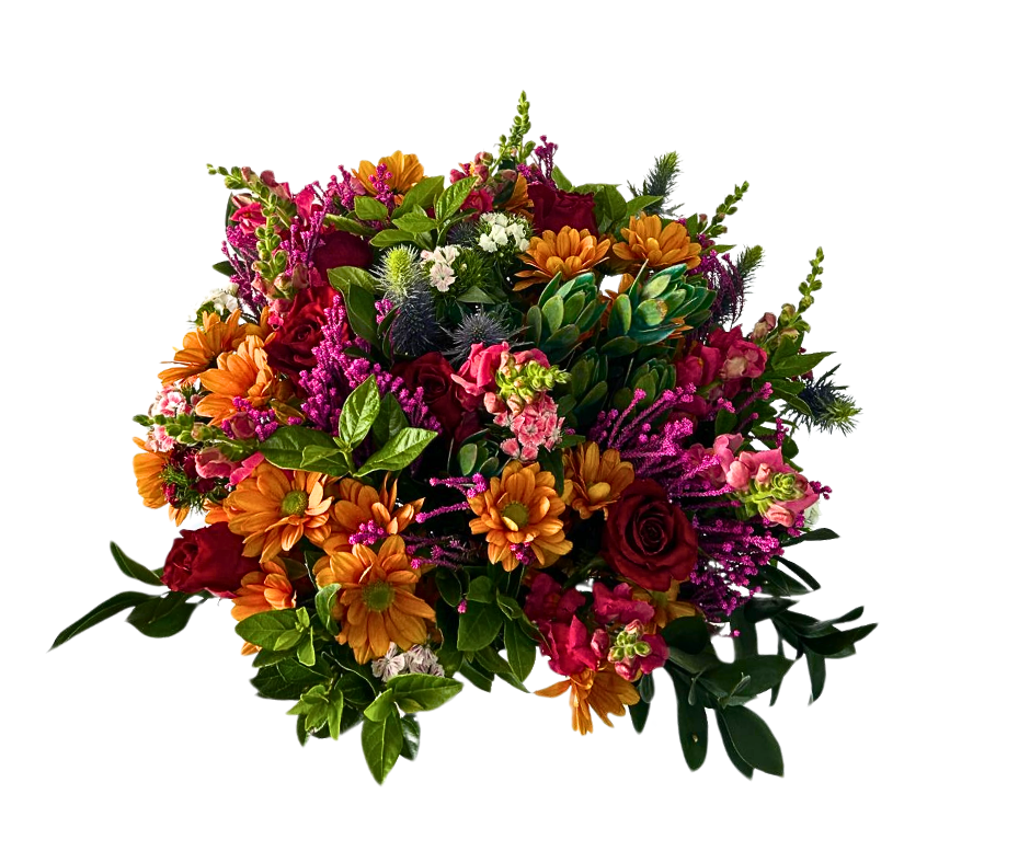 Blushing Citrus Bloom - Jihaans Flower Emporium