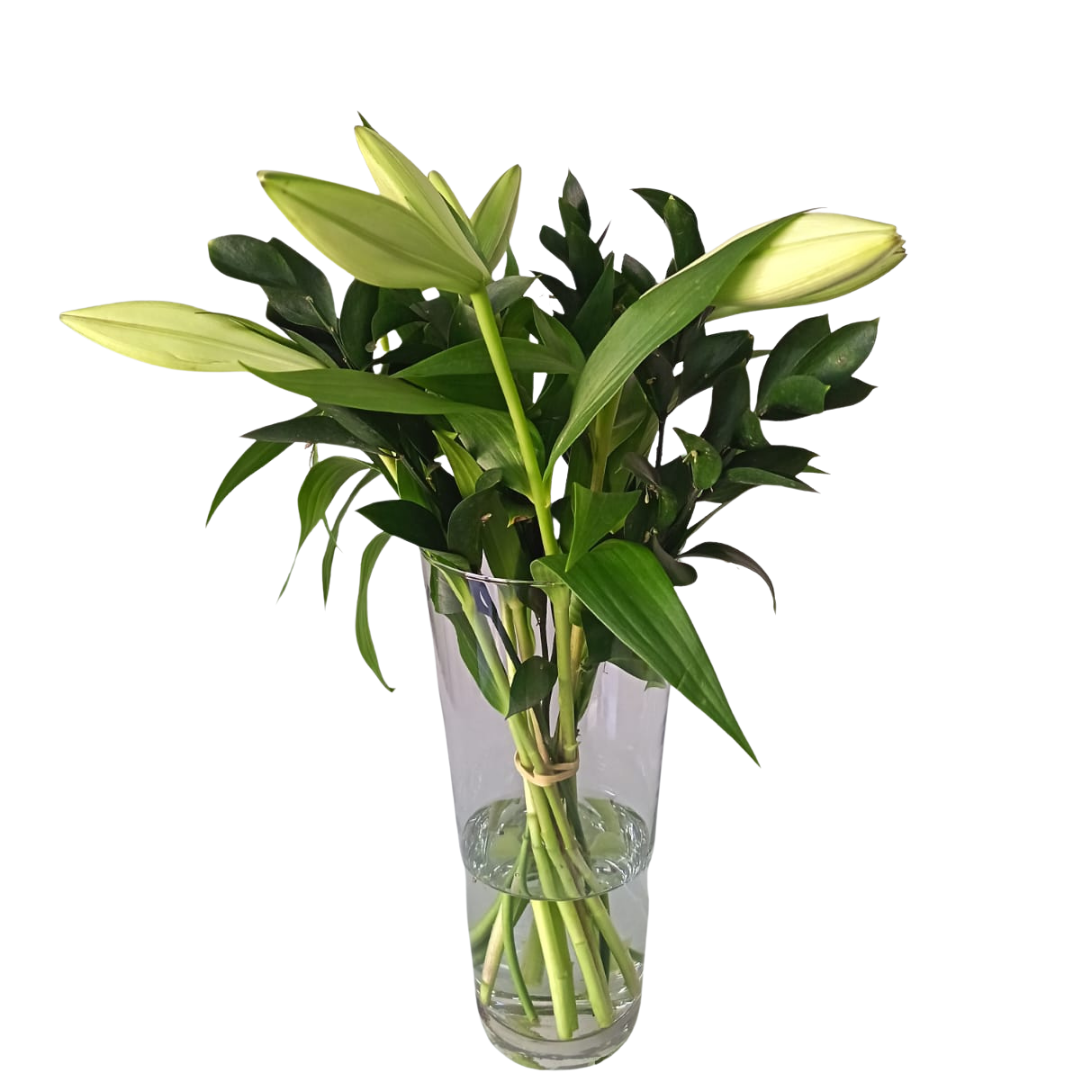 ST Joseph Lilly Bunch ( without vase ) - Jihaans Flower Emporium