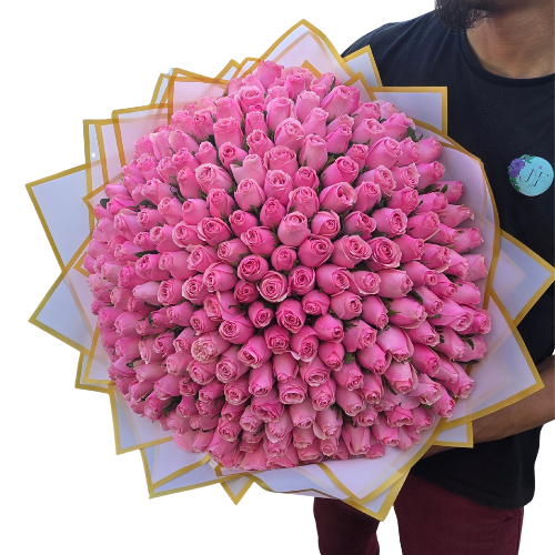 250 Stem Roses (Colour of your choice)