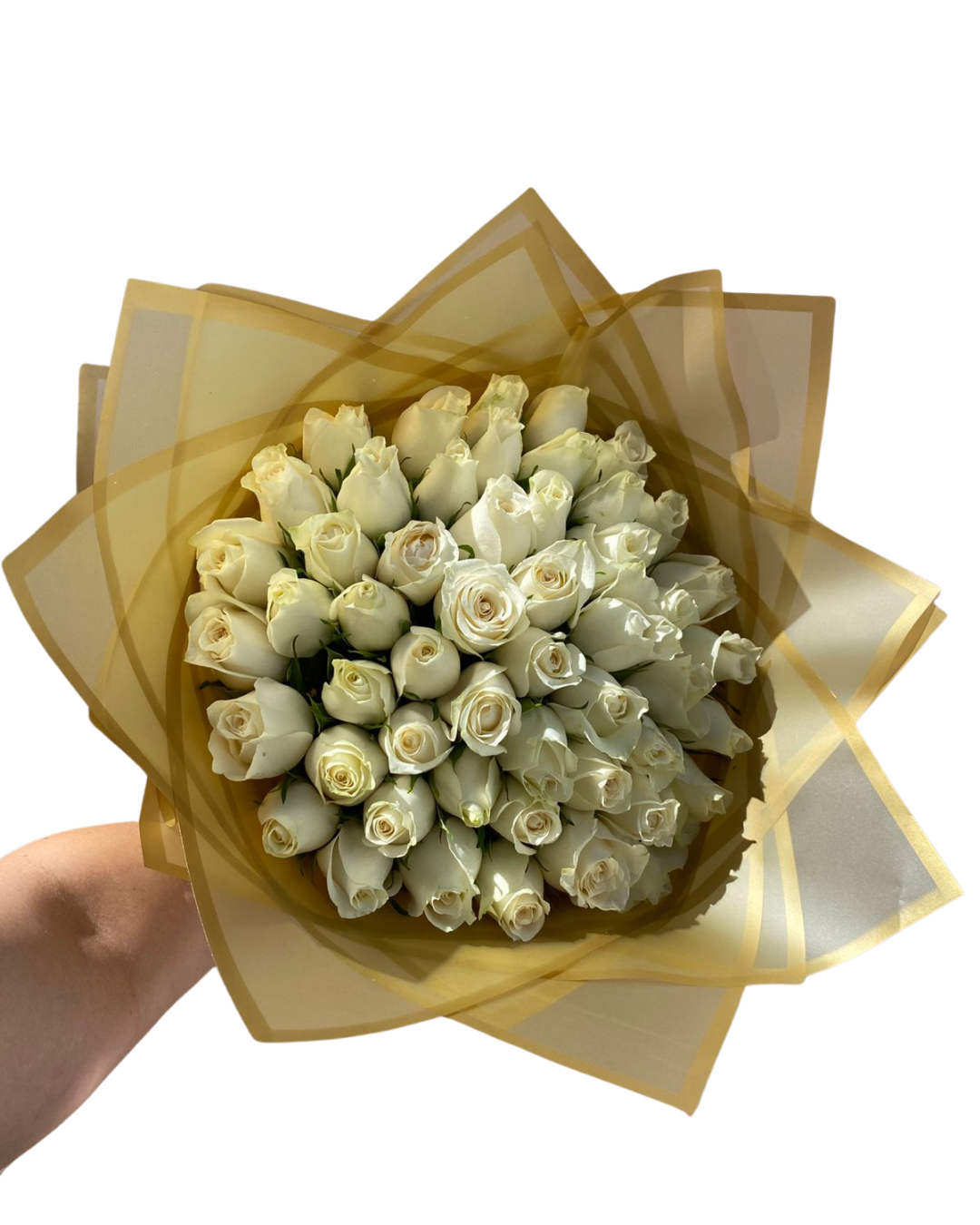 50 Stem White Roses