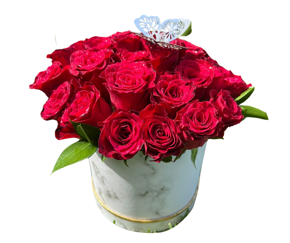 Red Velvet Rose Bucket - Jihaans Flower Emporium
