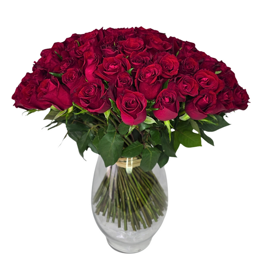 50 stem red roses (with vase) - Jihaans Flower Emporium
