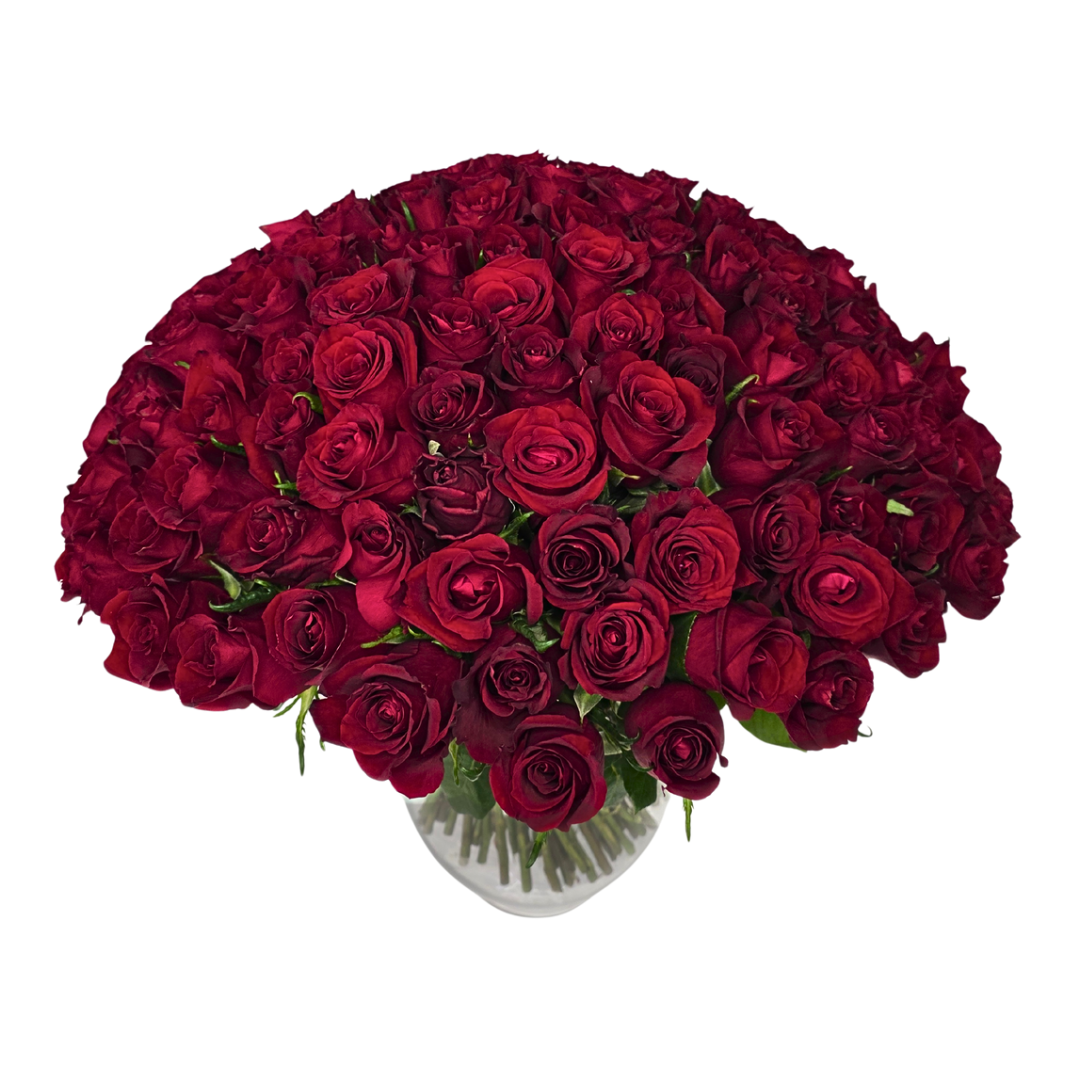 50 stem red roses (with vase) - Jihaans Flower Emporium
