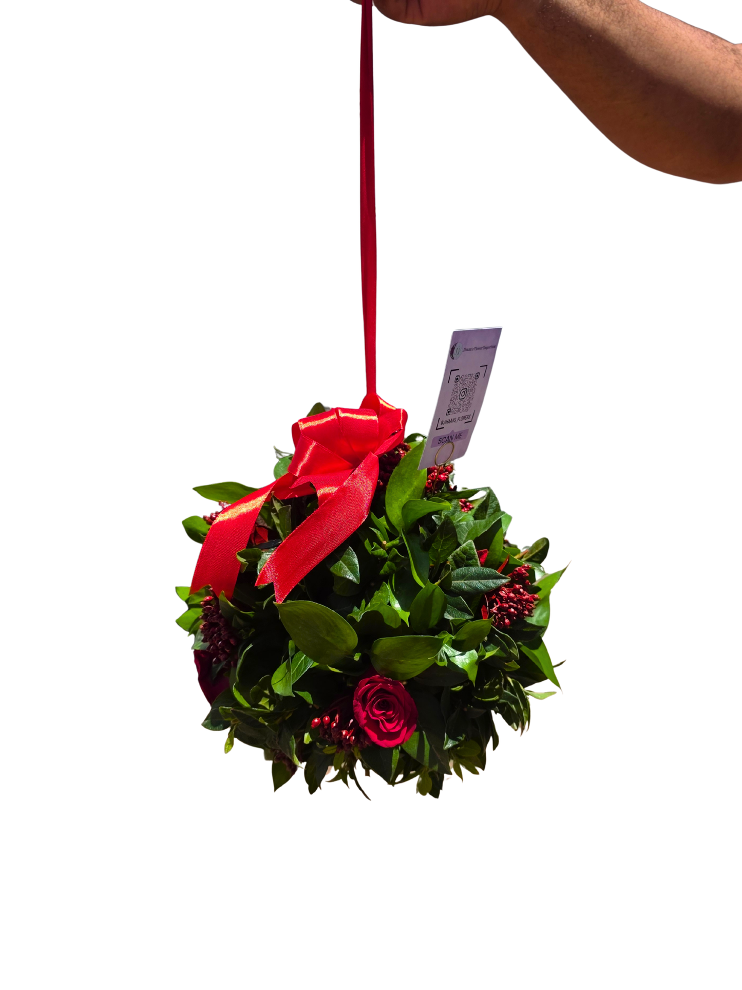 Christmas Kissing ball - Jihaans Flower Emporium