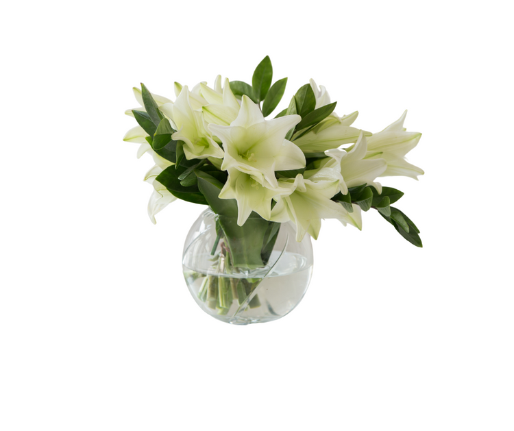 Sympathy and Condolences Arrangements