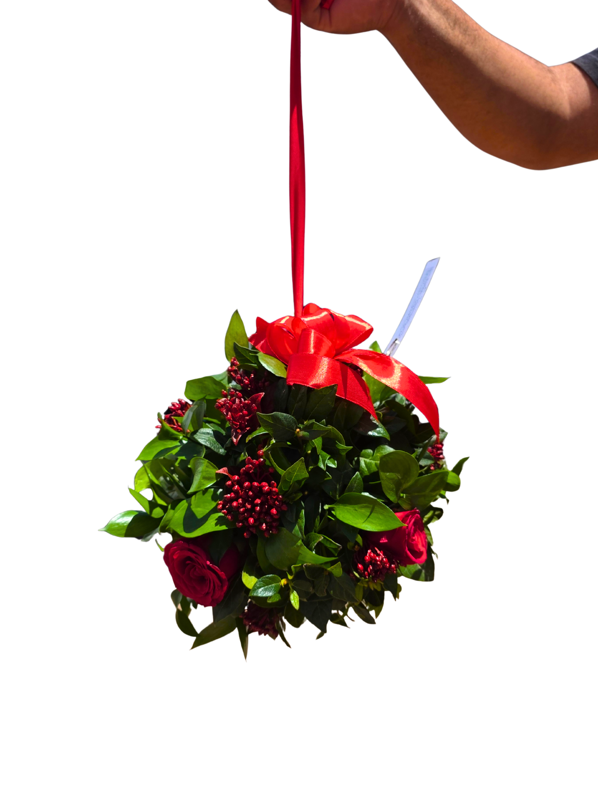 Christmas Kissing ball - Jihaans Flower Emporium