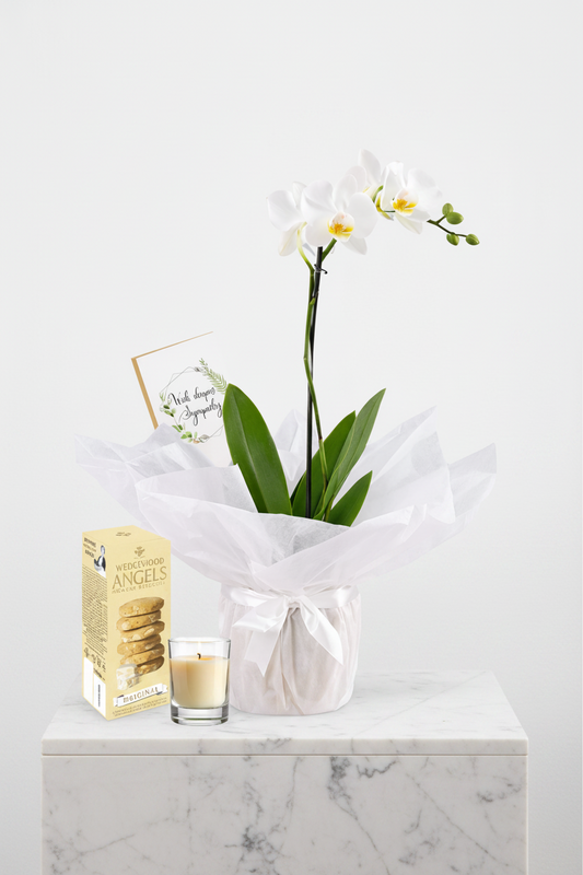 Pink and white orchids from Jihaans Flower Emporium's Pure Serenity Orchid Set, arranged in a decorative floral display.