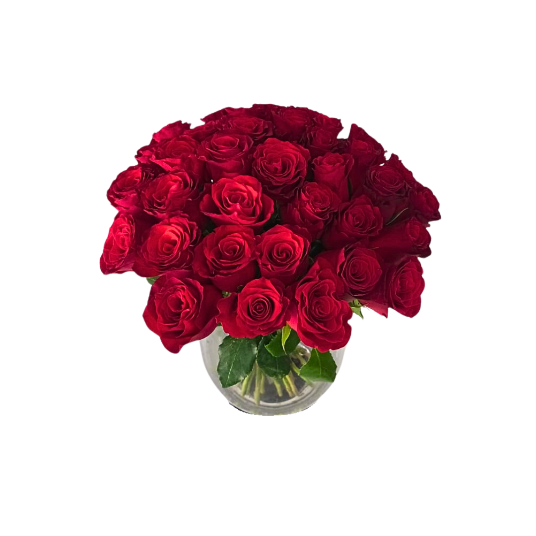 30 stem red roses (with vase) - Jihaans Flower Emporium
