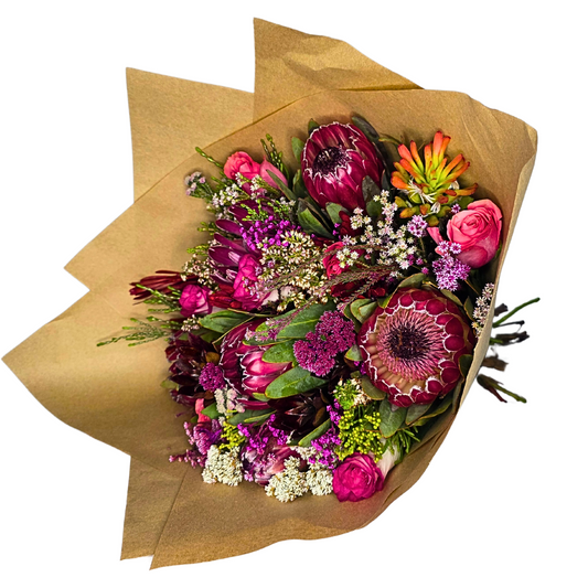 Wild Elegance Protea Bunch - Jihaans Flower Emporium