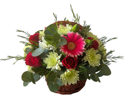 Beauty Bloom Basket - Jihaans Flower Emporium