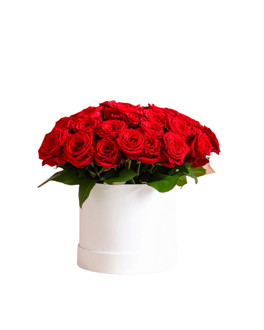 Red Velvet Rose Bucket - 36 stem - Jihaans Flower Emporium