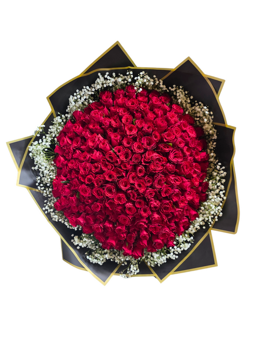 200 Stem Roses with babies breath (Colour of your choice) - Jihaans Flower Emporium