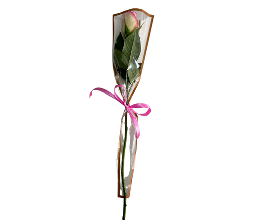 Single Roses - Jihaans Flower Emporium