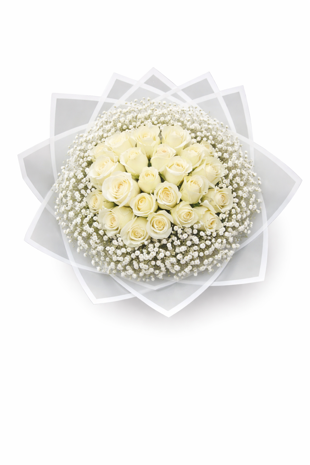 20 stem white roses with delicate baby's breath, fresh floral bouquet showcasing elegant white roses and soft filler flowers